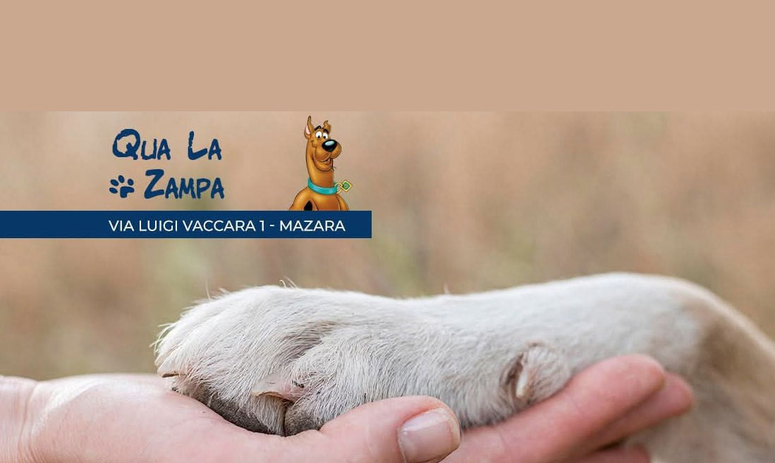 Hamburger - Zona Giusta